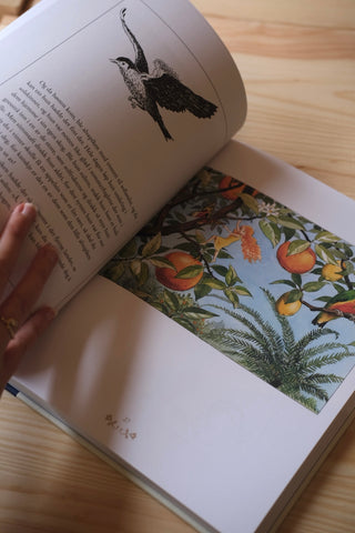 Elsa Beskow - fortellinger og viser