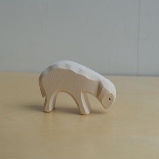 Sheep eating - trefigur