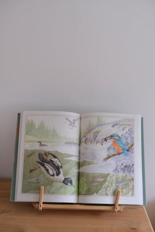 Nordic Nature - Ole Mathismoen