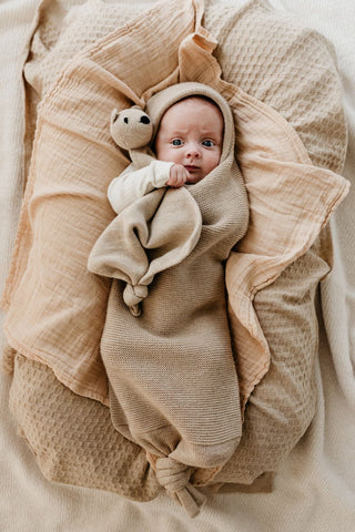Tokki teddy