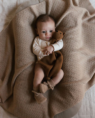 Tokki teddy