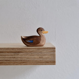 Duck swimming - trefigur