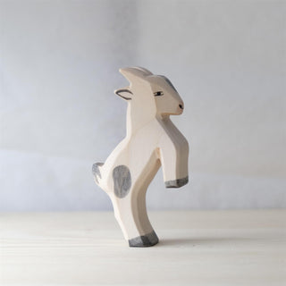 Goat kid jumping - trefigur
