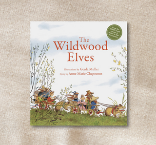 The Wildwood Elves - Anne-Marie Chapouton