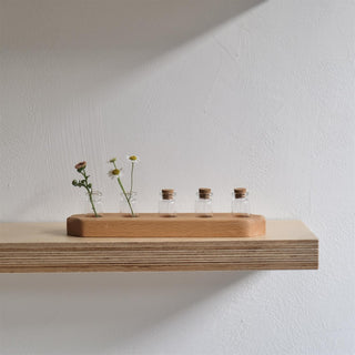 Stativ til naturforskning med 5 vaser