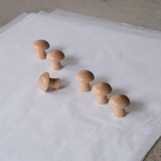 6 Mushrooms - natur