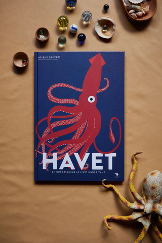Havet - Emanuelle Grundmann
