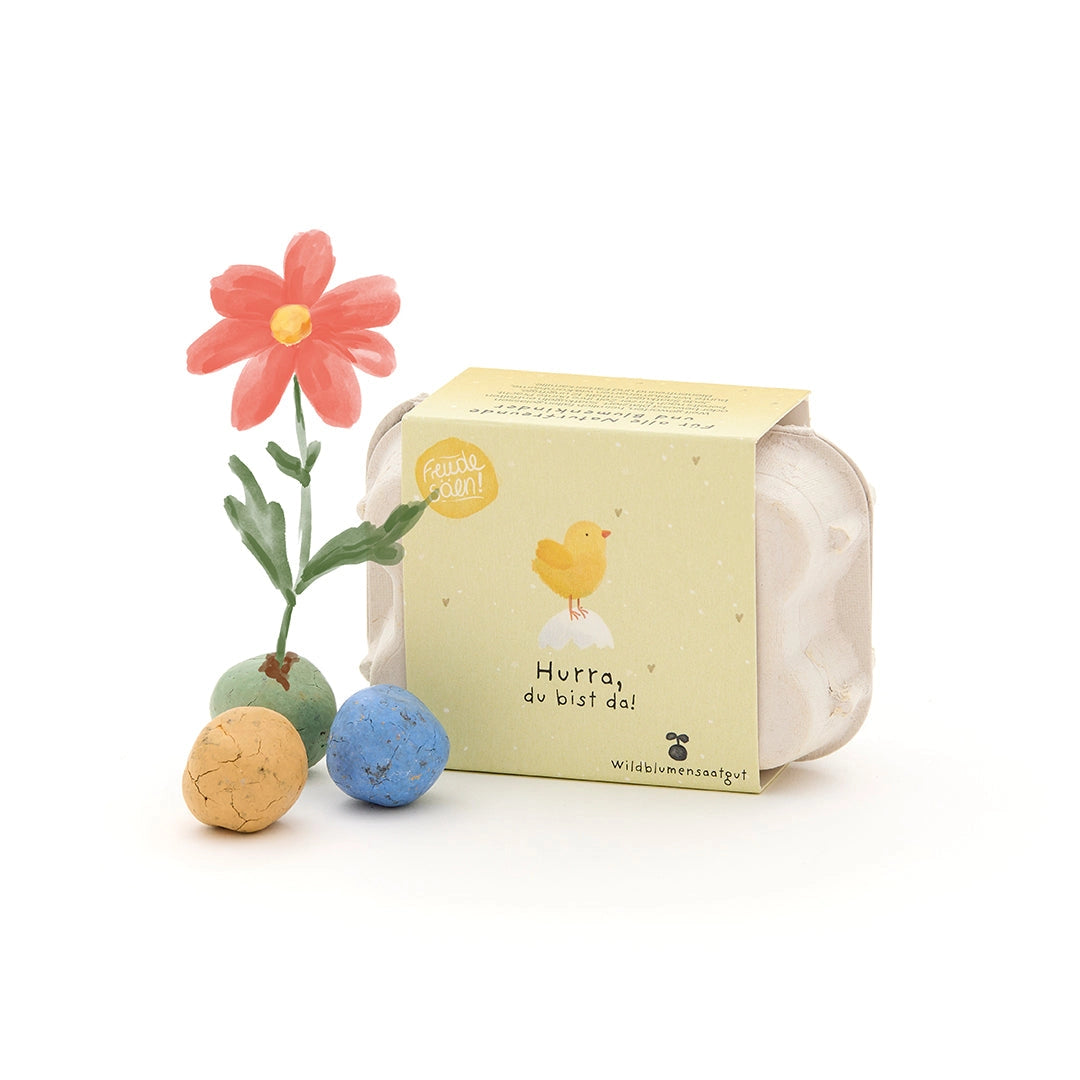 Blomsterkuler i eggkartong - 6 frøbomber