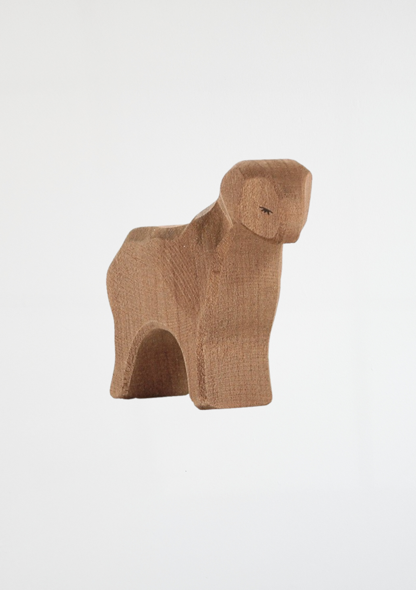 Sheep brown standing - trefigur
