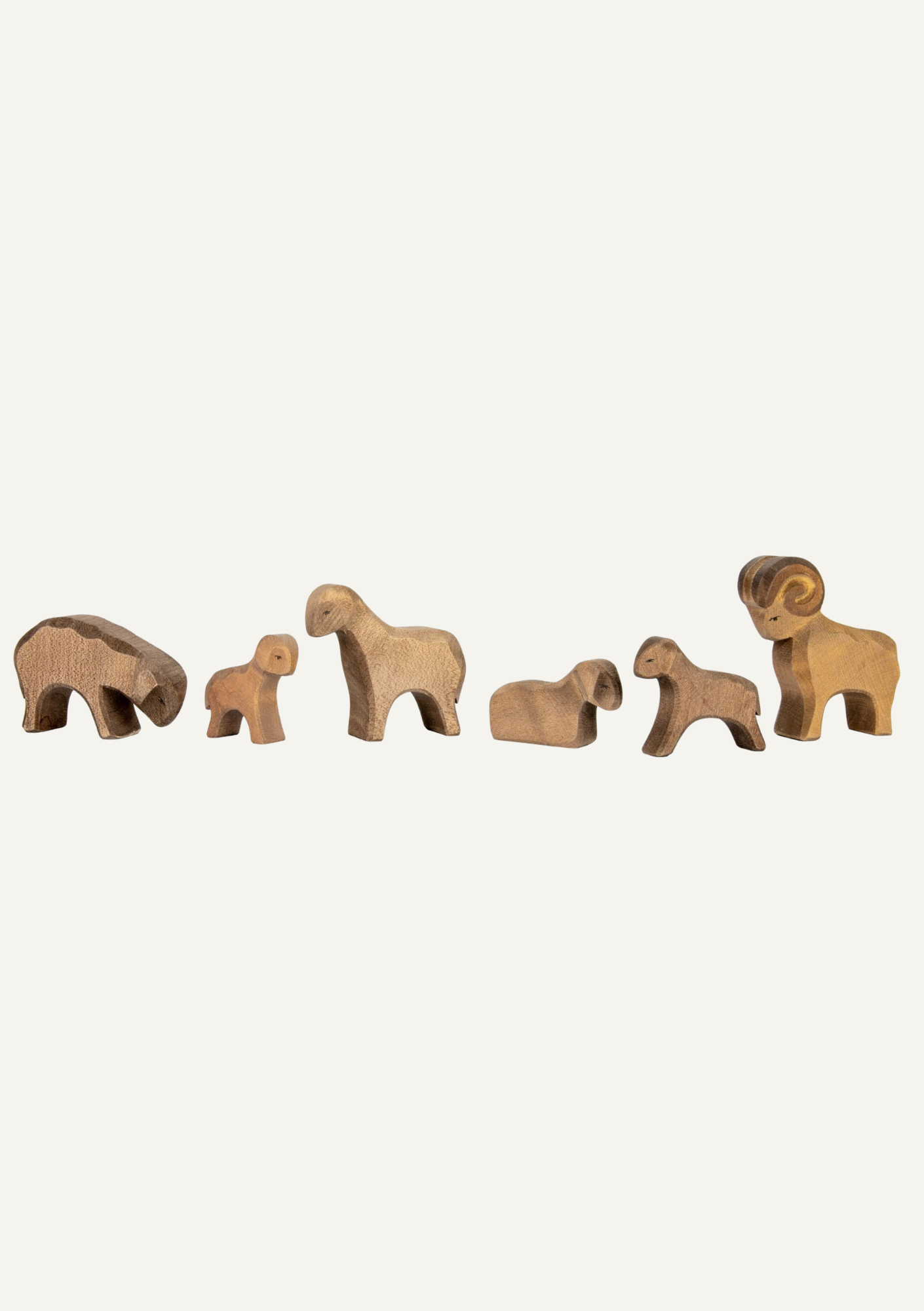 Sheep brown standing - trefigur