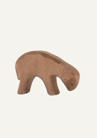 Sheep brown eating - trefigur