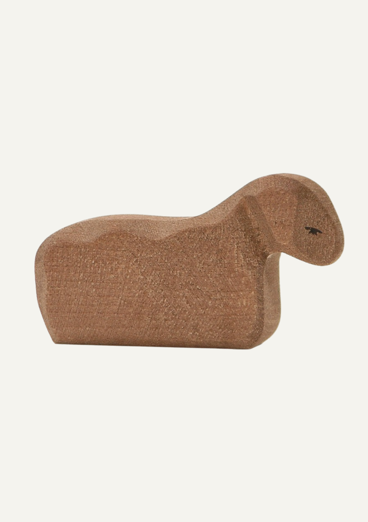 Lamb brown resting - trefigur