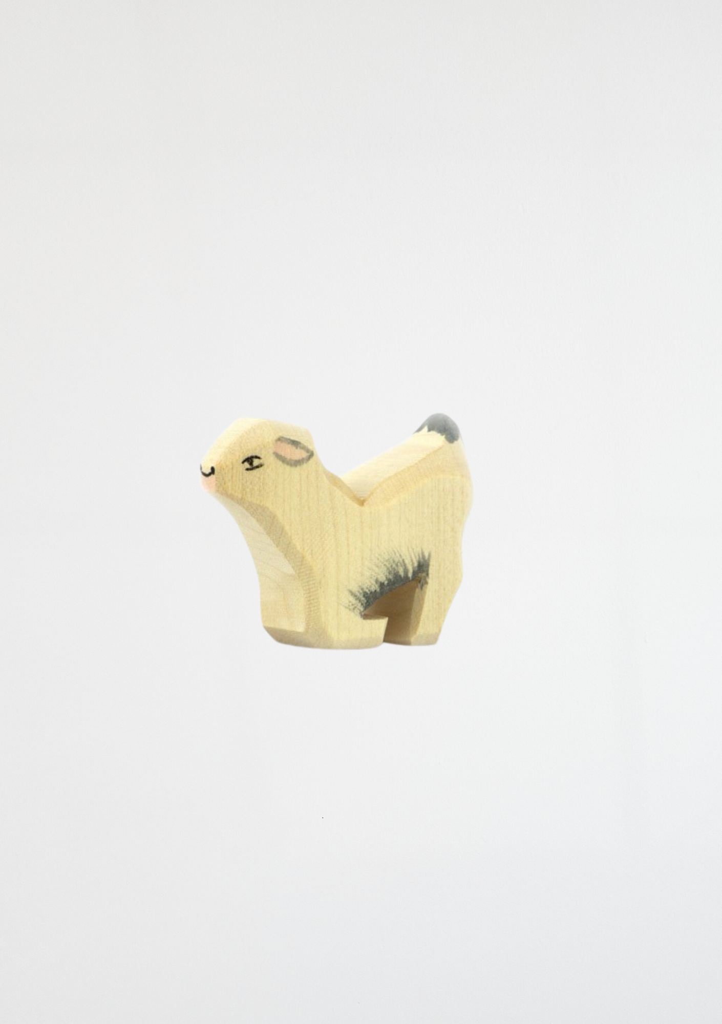 Goat kid drinking - trefigur