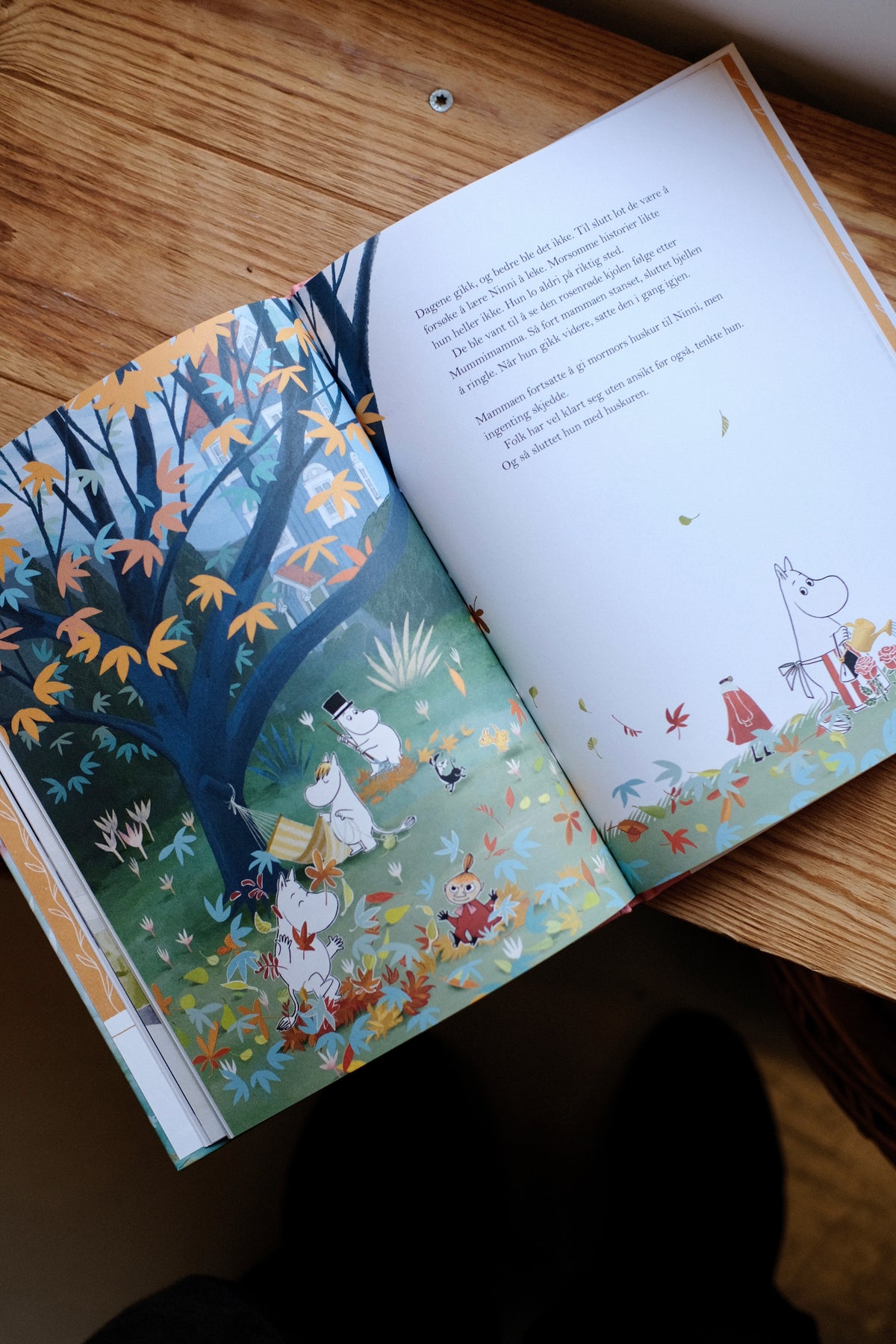 Mummitrollet og den usynlige gjesten - Tove Jansson, Cecilia Davidsson & Filippa Widlund