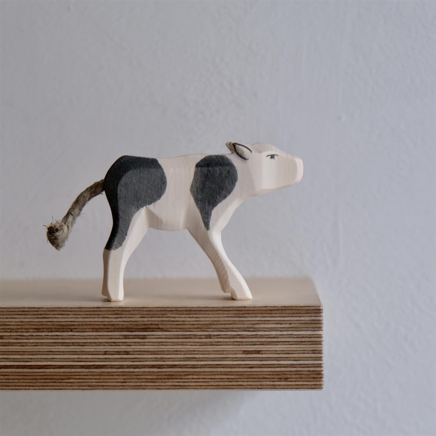 Calf black and white drinking - trefigur