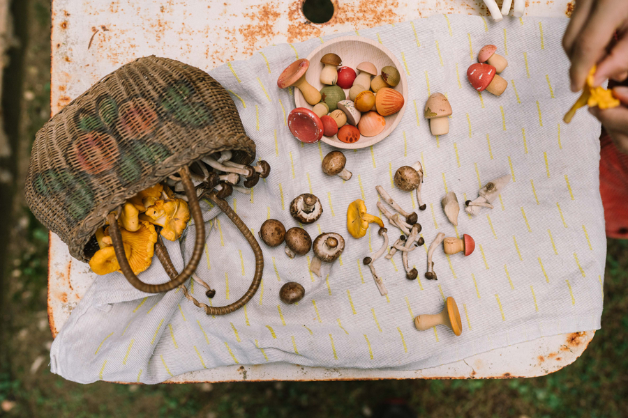 Mushroom Grove - sett med sopp