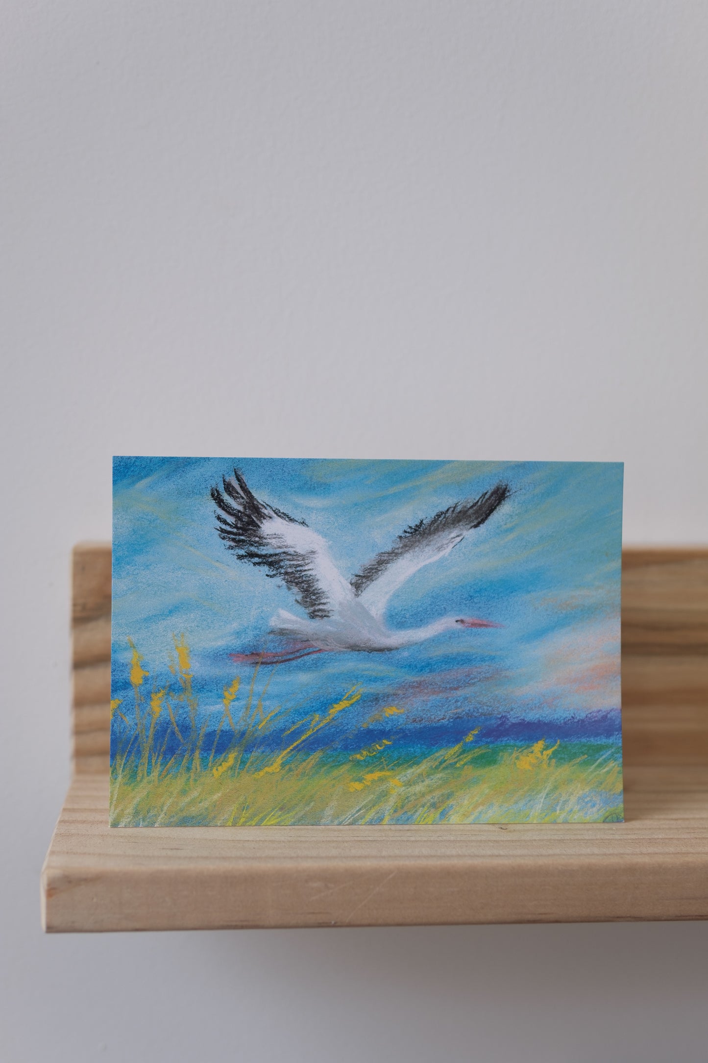 Flygende stork A6 Kort