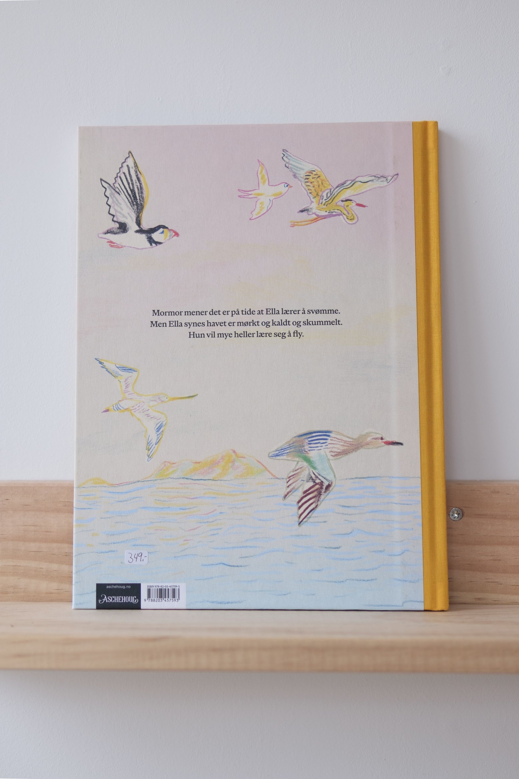 Svømmefugl - Kjersti Annesdatter Skomsvold, Mari Kanstad Johnsen & Rune Døli