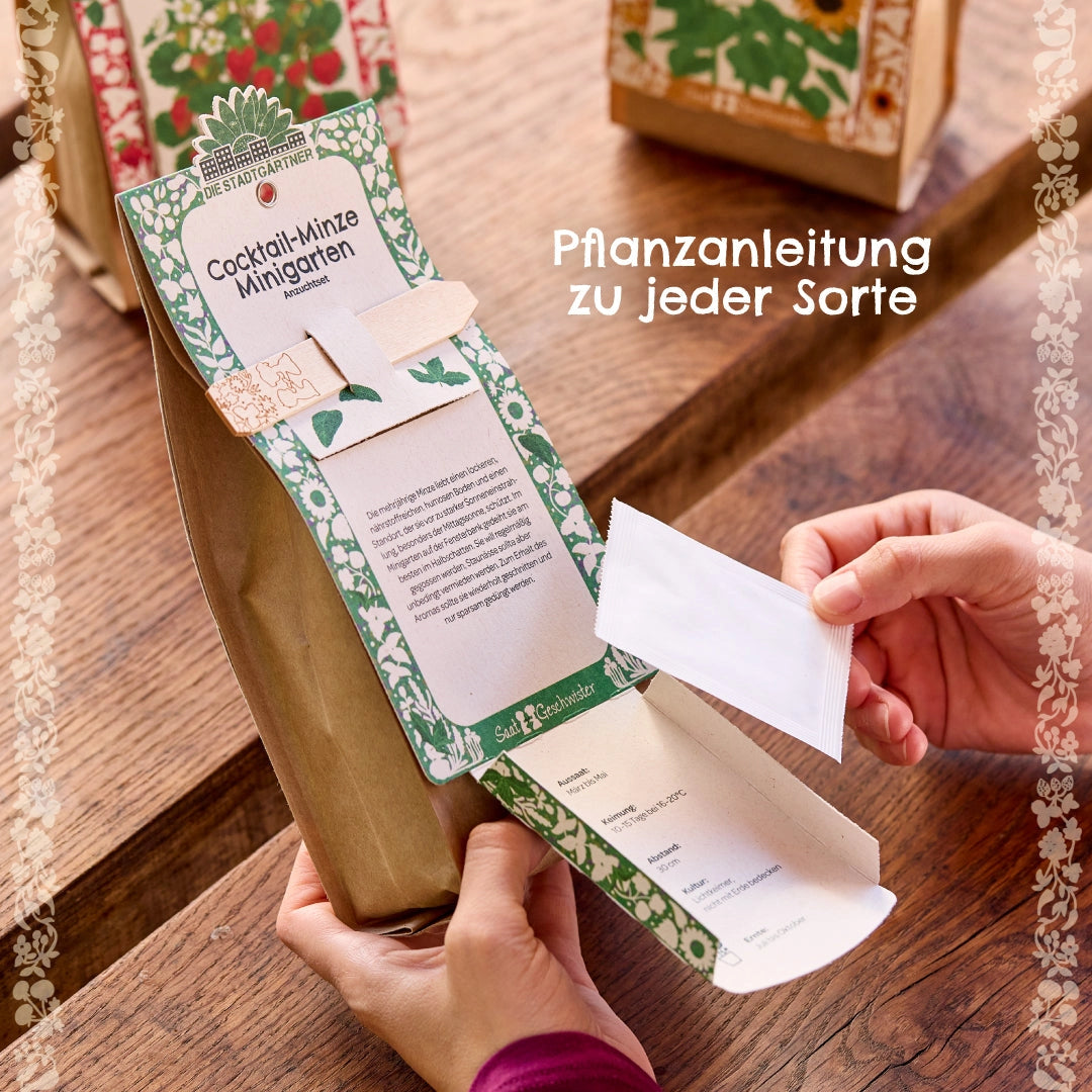 Alt-i-ett dyrkingssett - økologisk lavendel