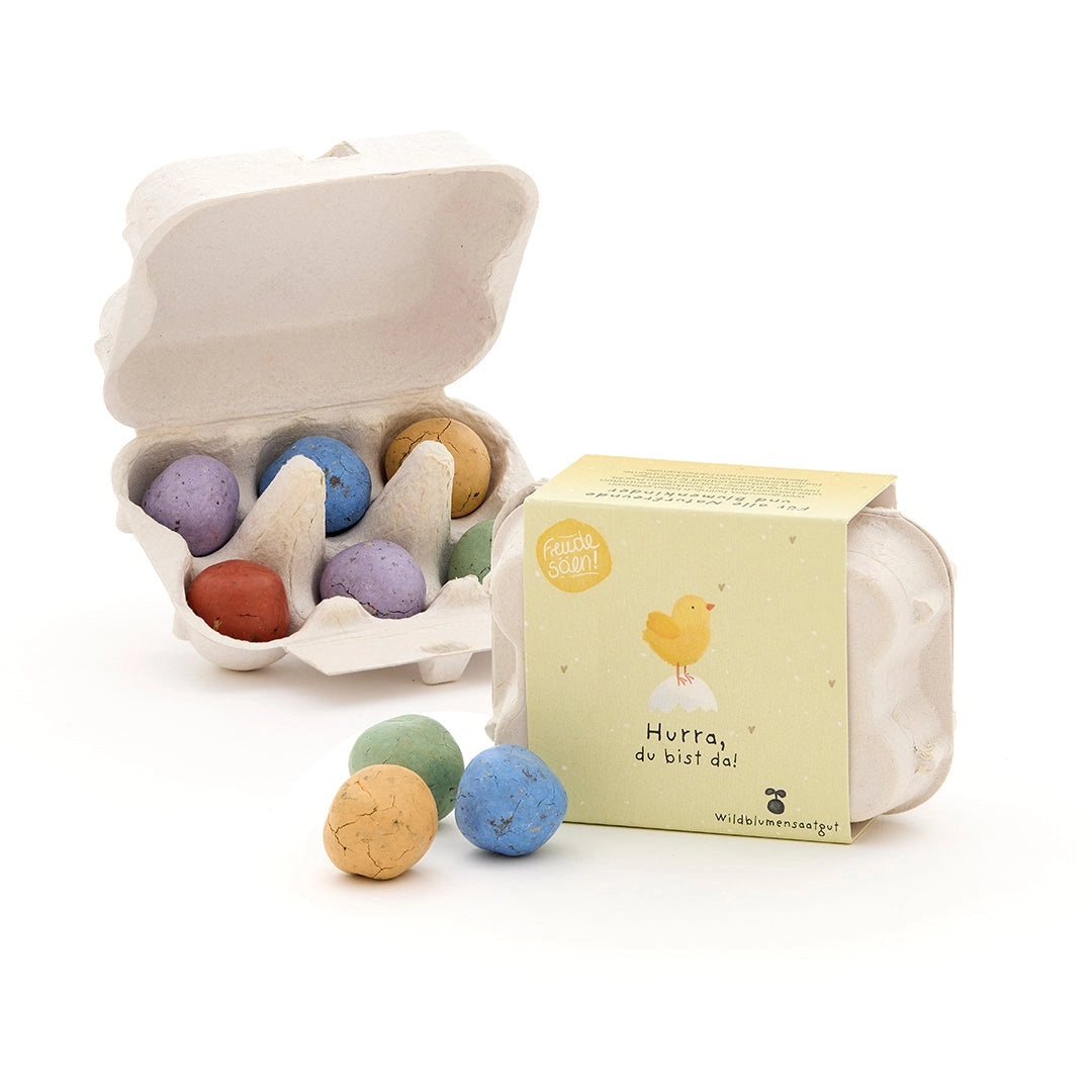 Blomsterkuler i eggkartong - 6 frøbomber