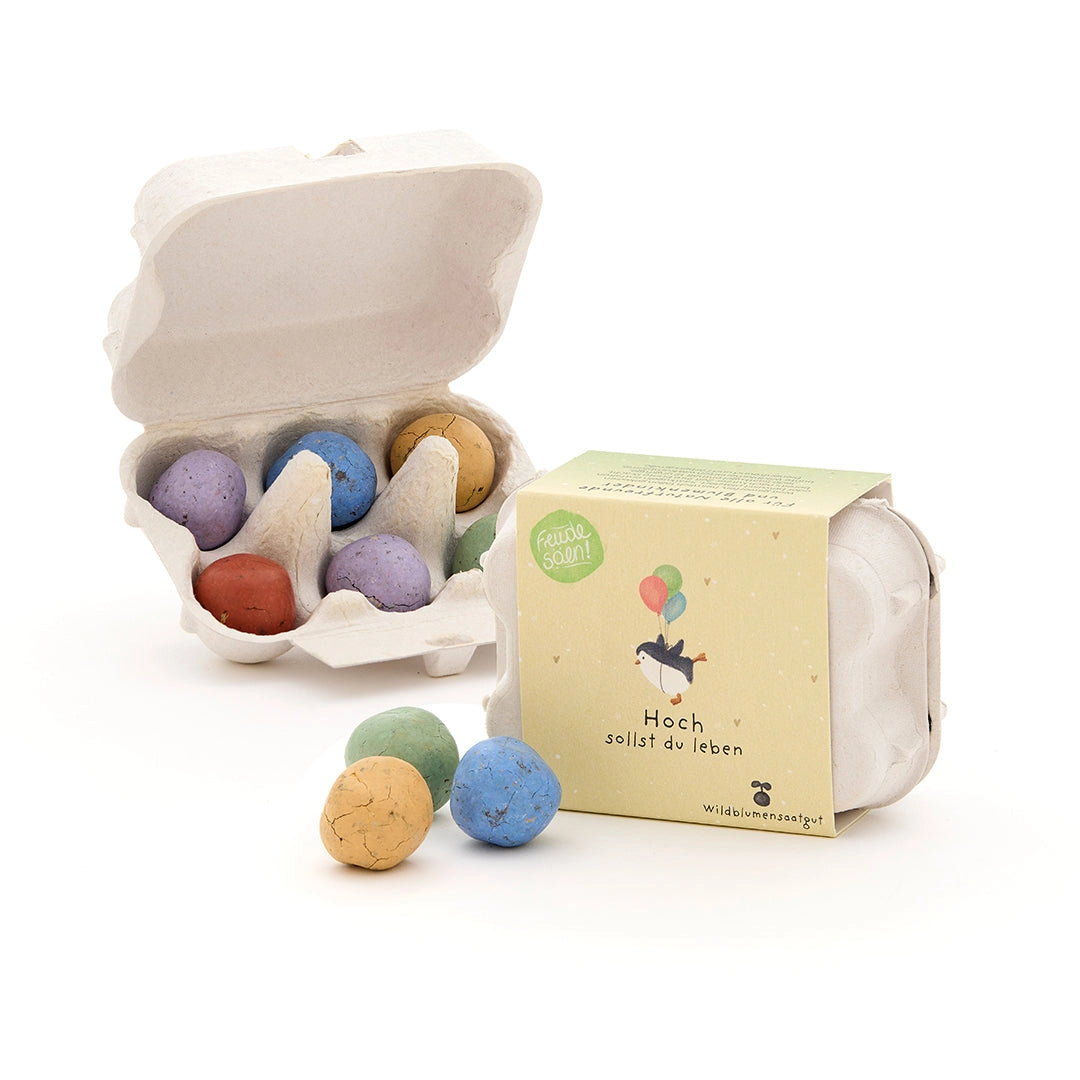 Blomsterkuler i eggkartong - 6 frøbomber