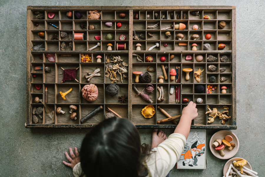 Mushroom Grove - sett med sopp