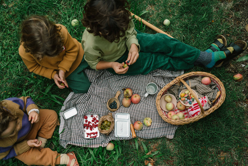 Fruits - sett med lekemat
