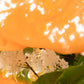 Lekesilke - 55x180cm - orange