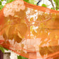 Lekesilke - 55x180cm - rust