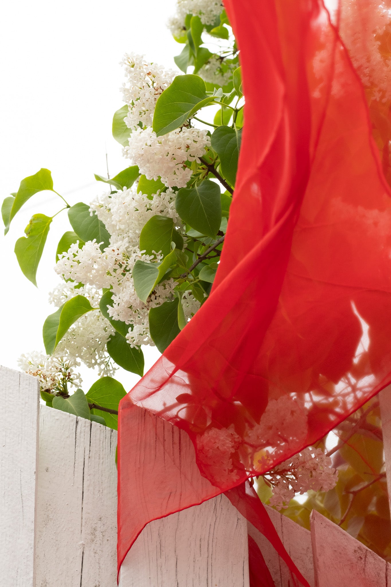 Lekesilke - 55x180cm - passion red