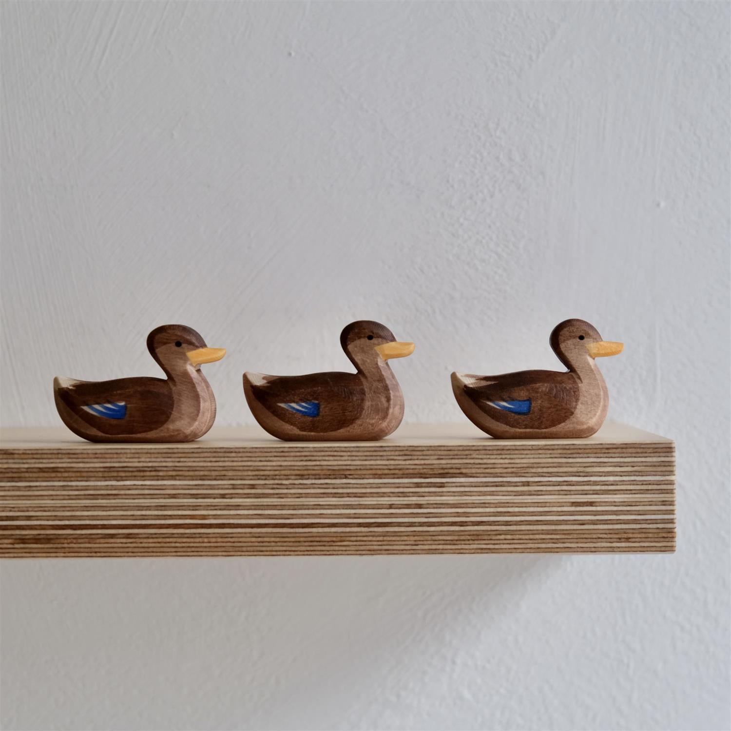 Duck swimming - trefigur