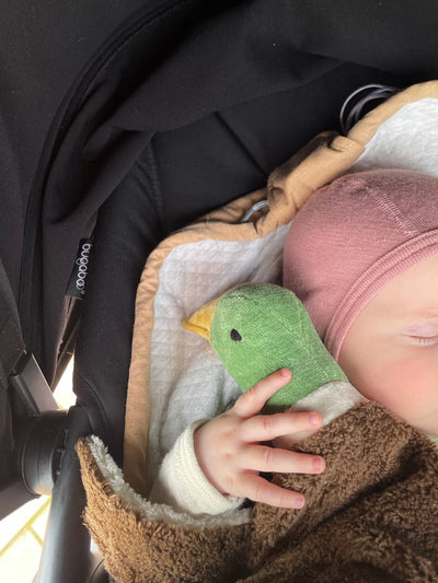 Kundebilde: baby med en grønn kosefugl i vogna