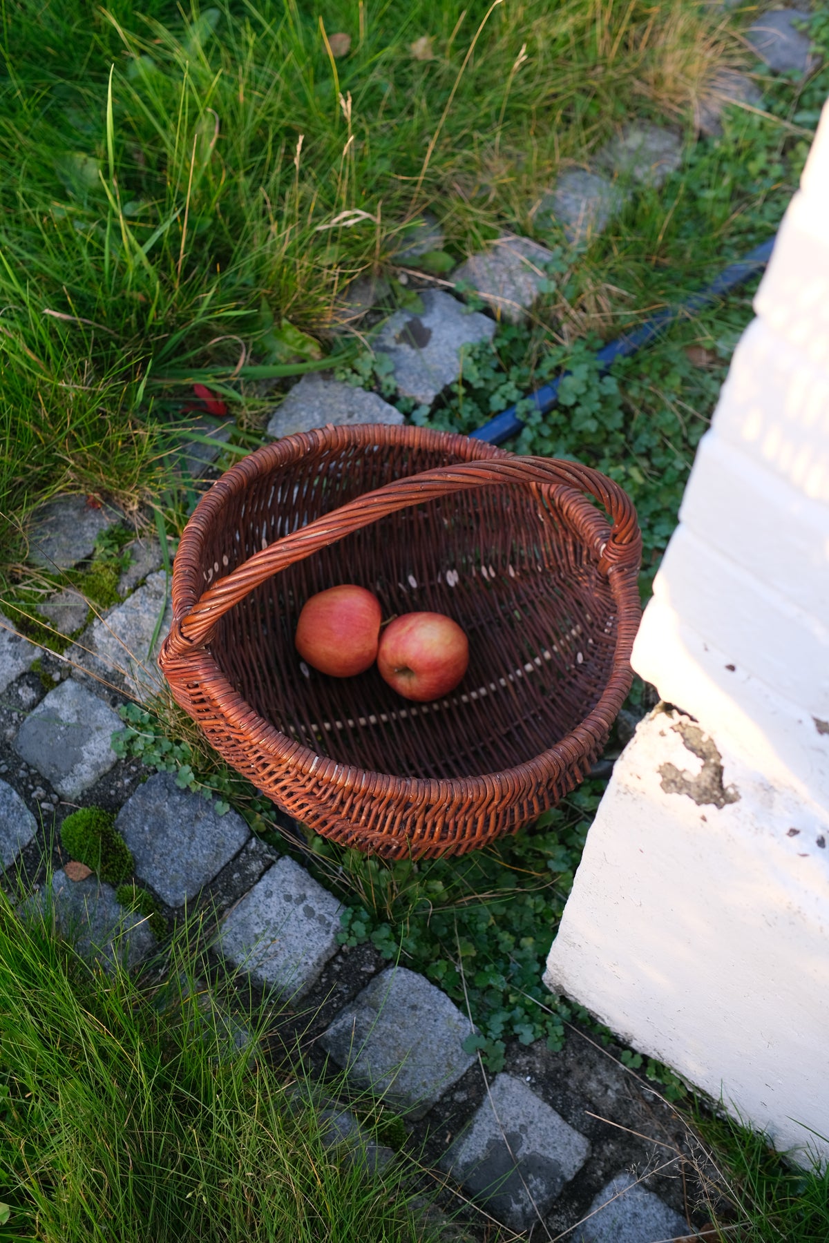 Mørk rund seljekurv med håndtak