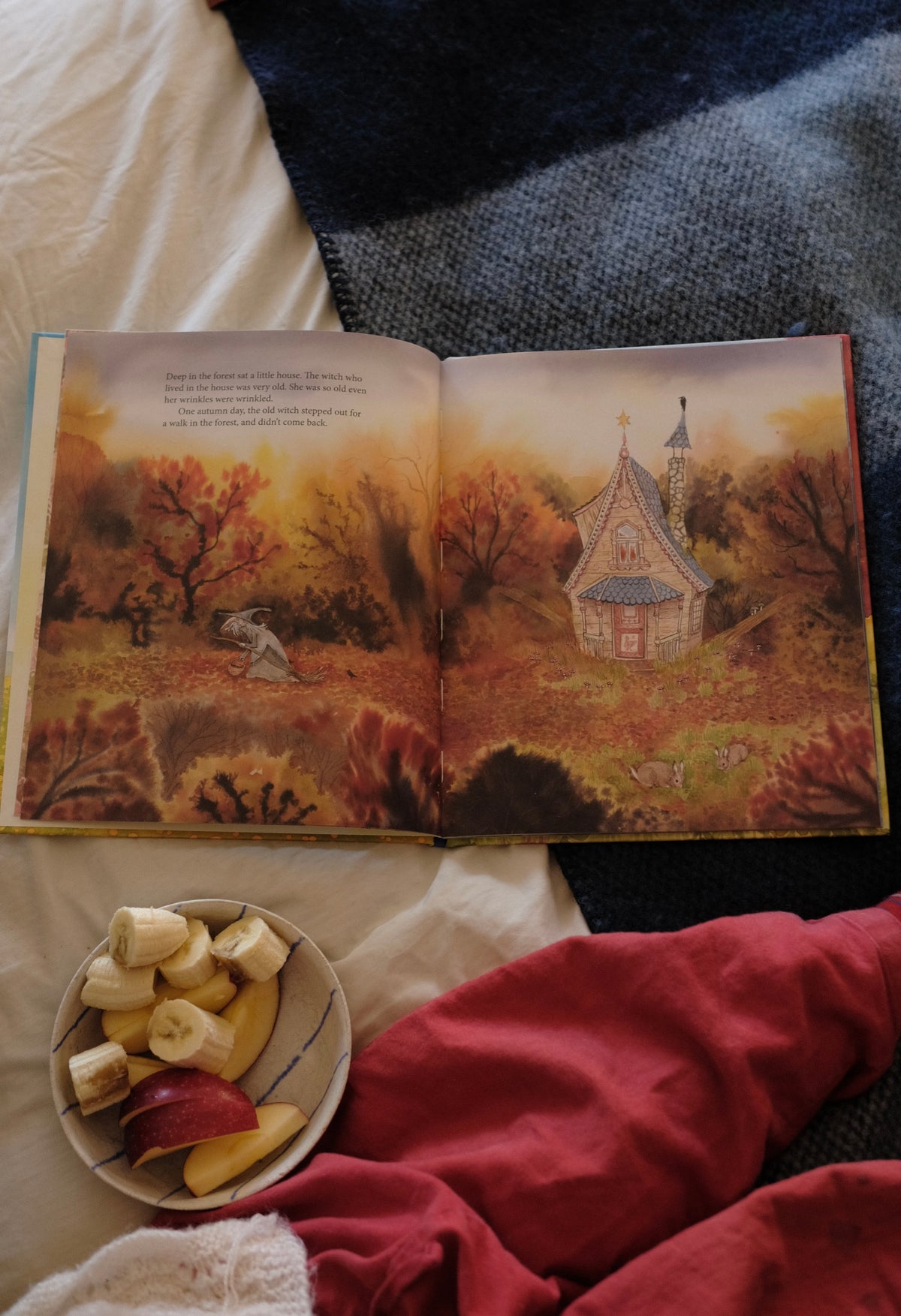 The Little House that Needed a Witch - Sophie Pluim