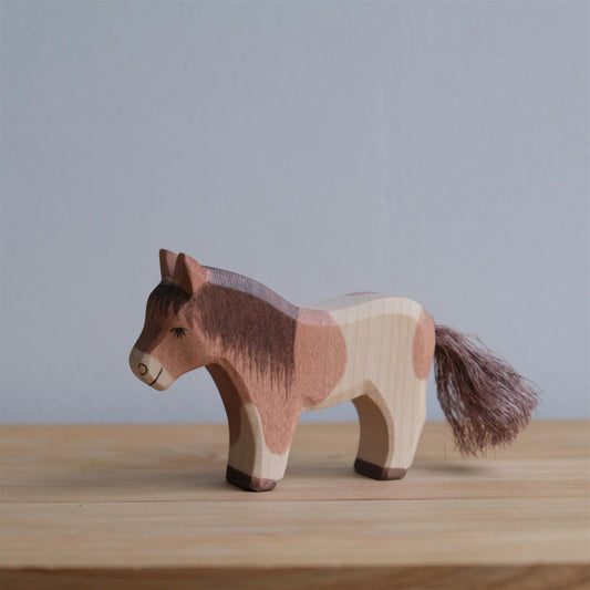 Shetland pony standing - trefigur