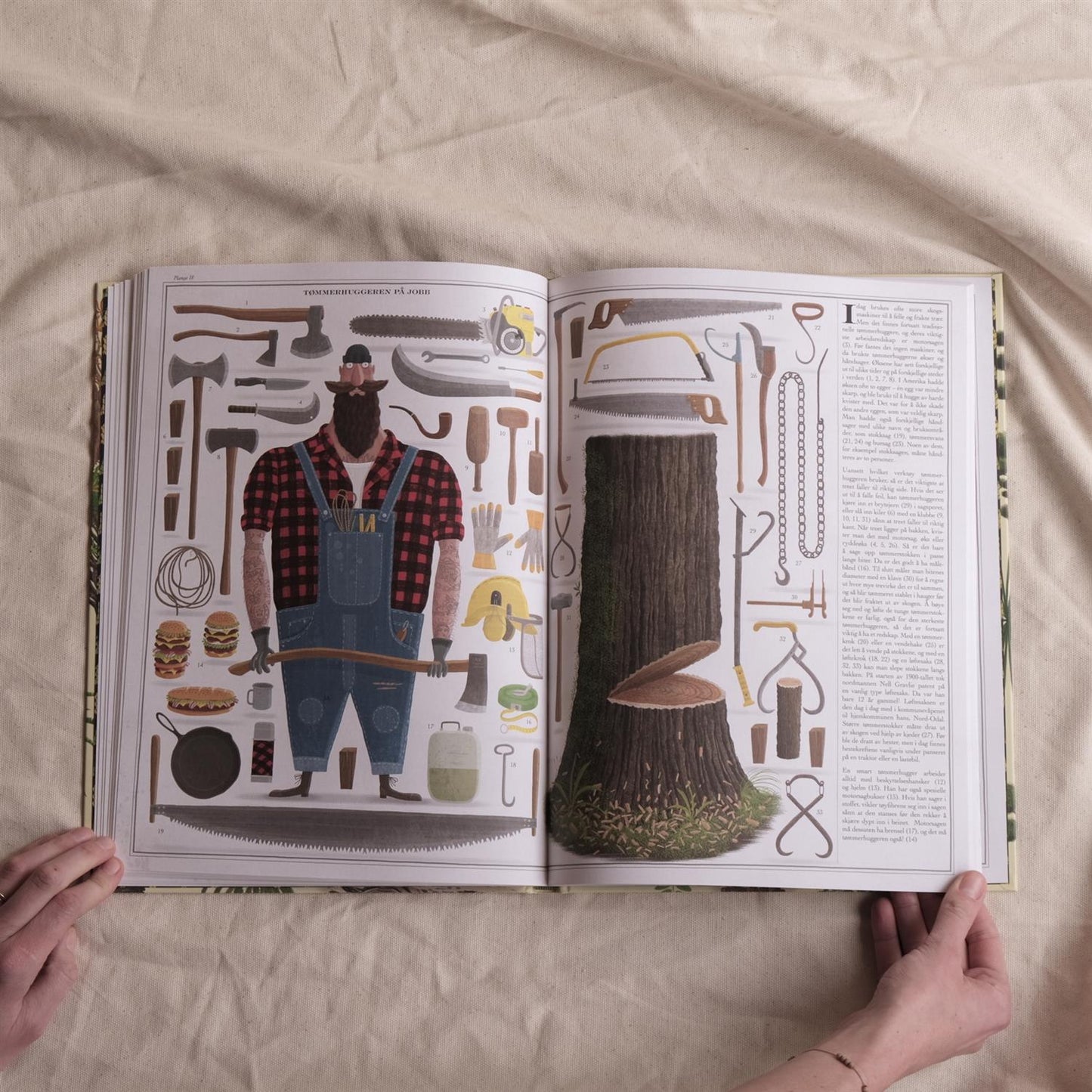 Den store boken om trær - Wojciech Grajkowski