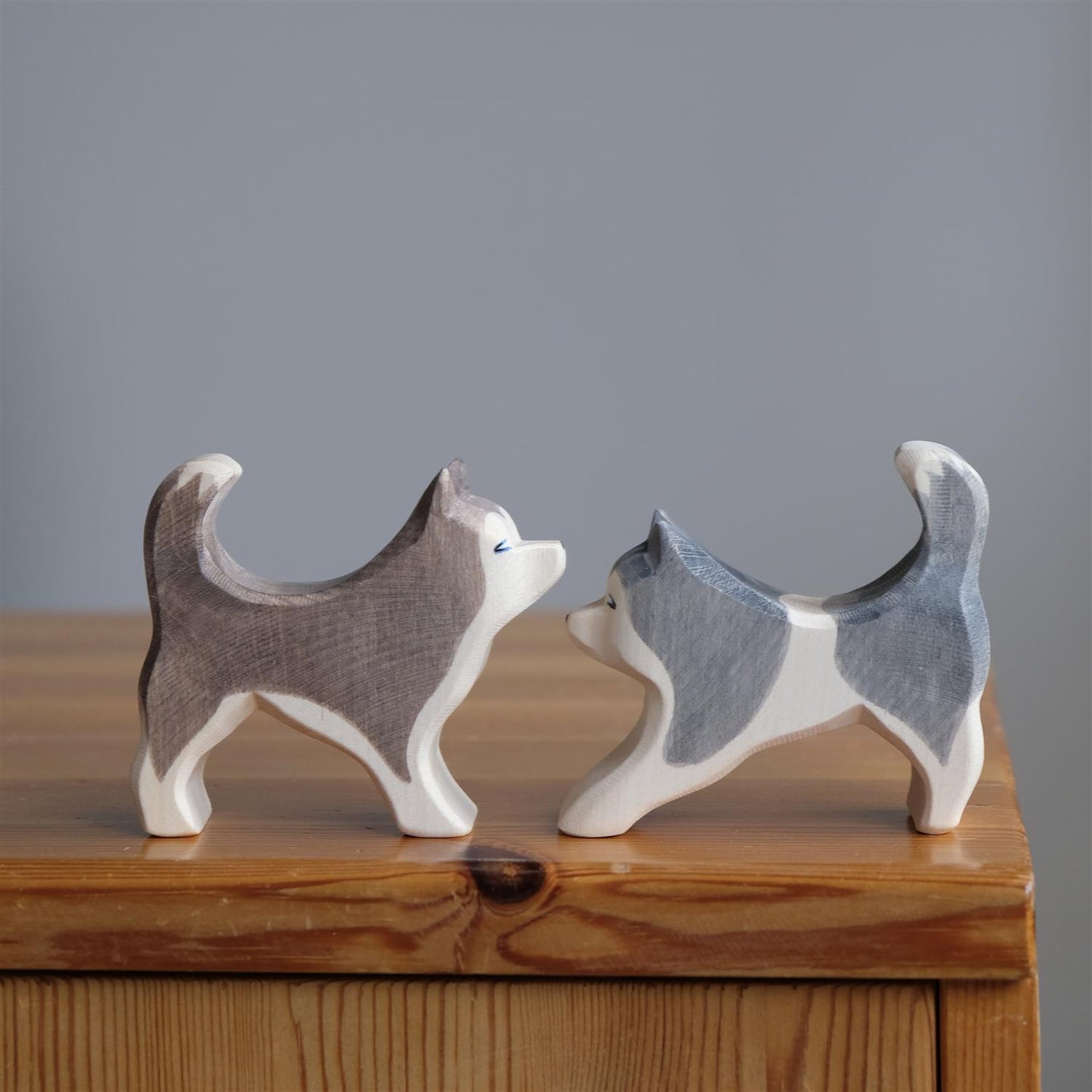 Sled dog standing - trefigur