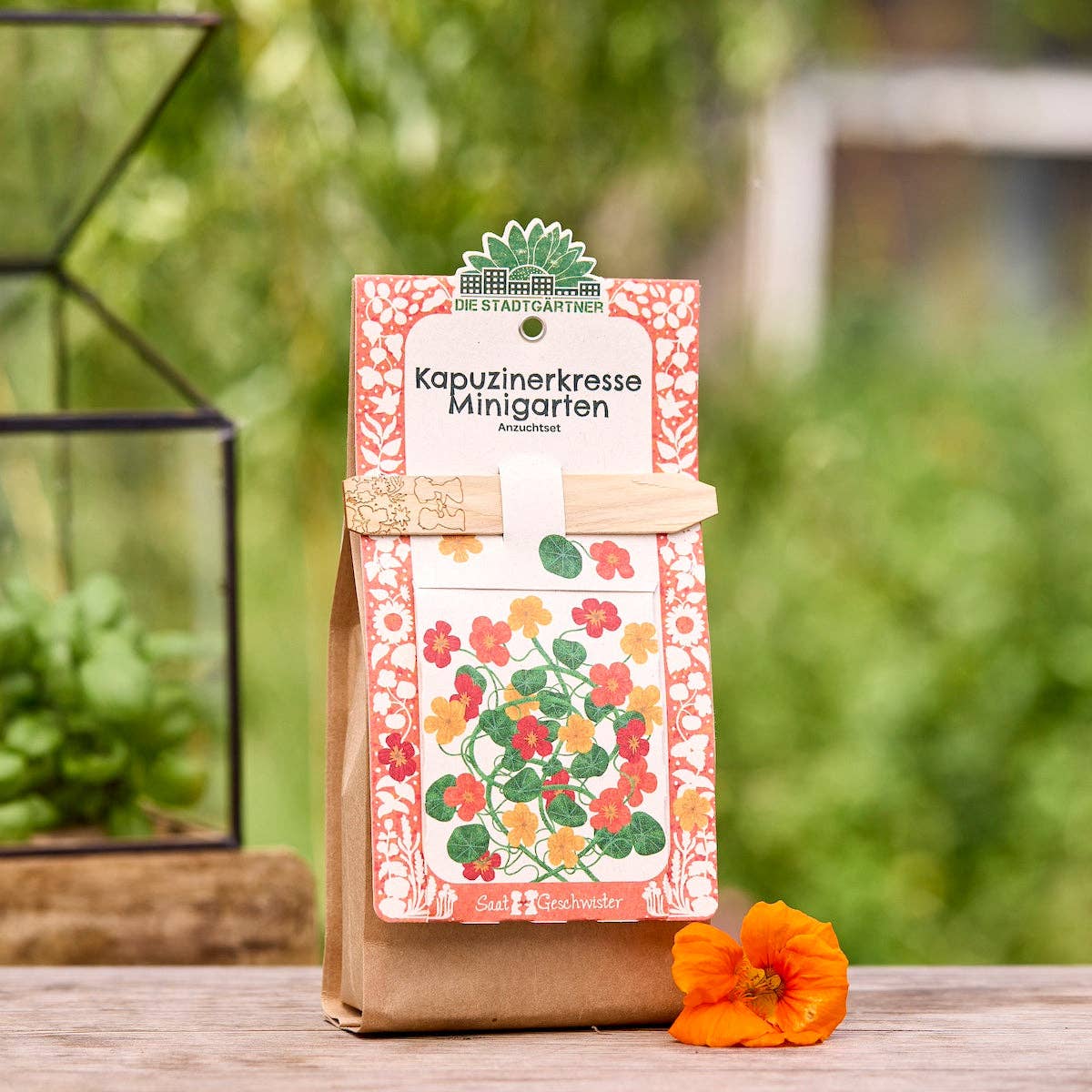 Mini hage - blomkarse