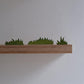 Grass 3 pcs - trefigur