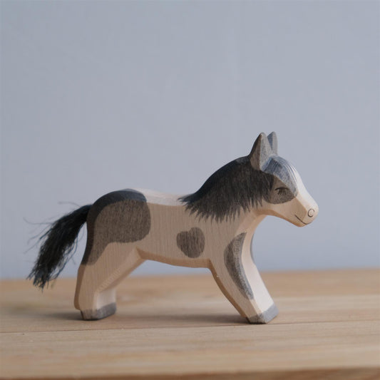 Shetland pony running - trefigur