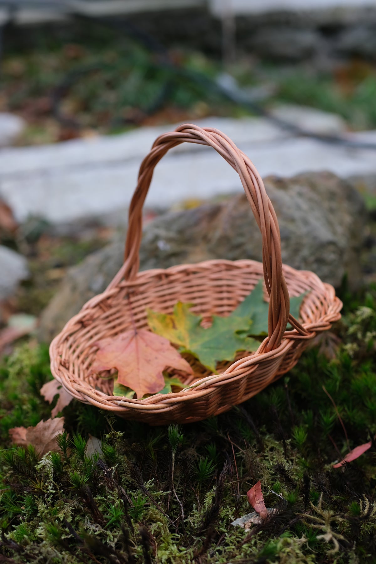 Mini oval gavekurv i selje