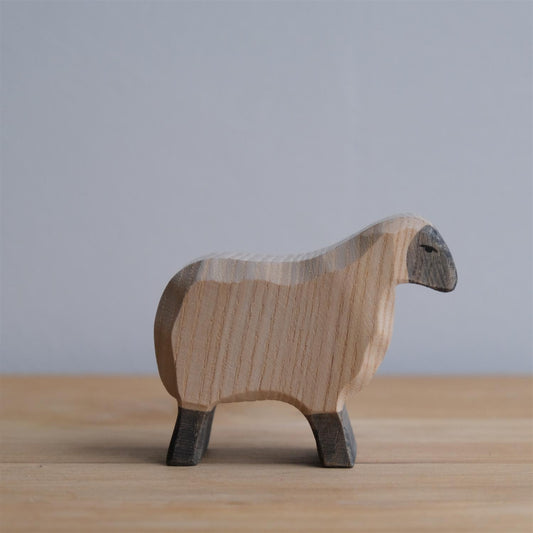 Moorland sheep - trefigur