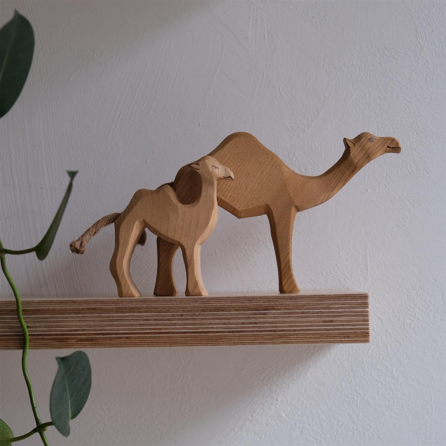 Dromedary - trefigur