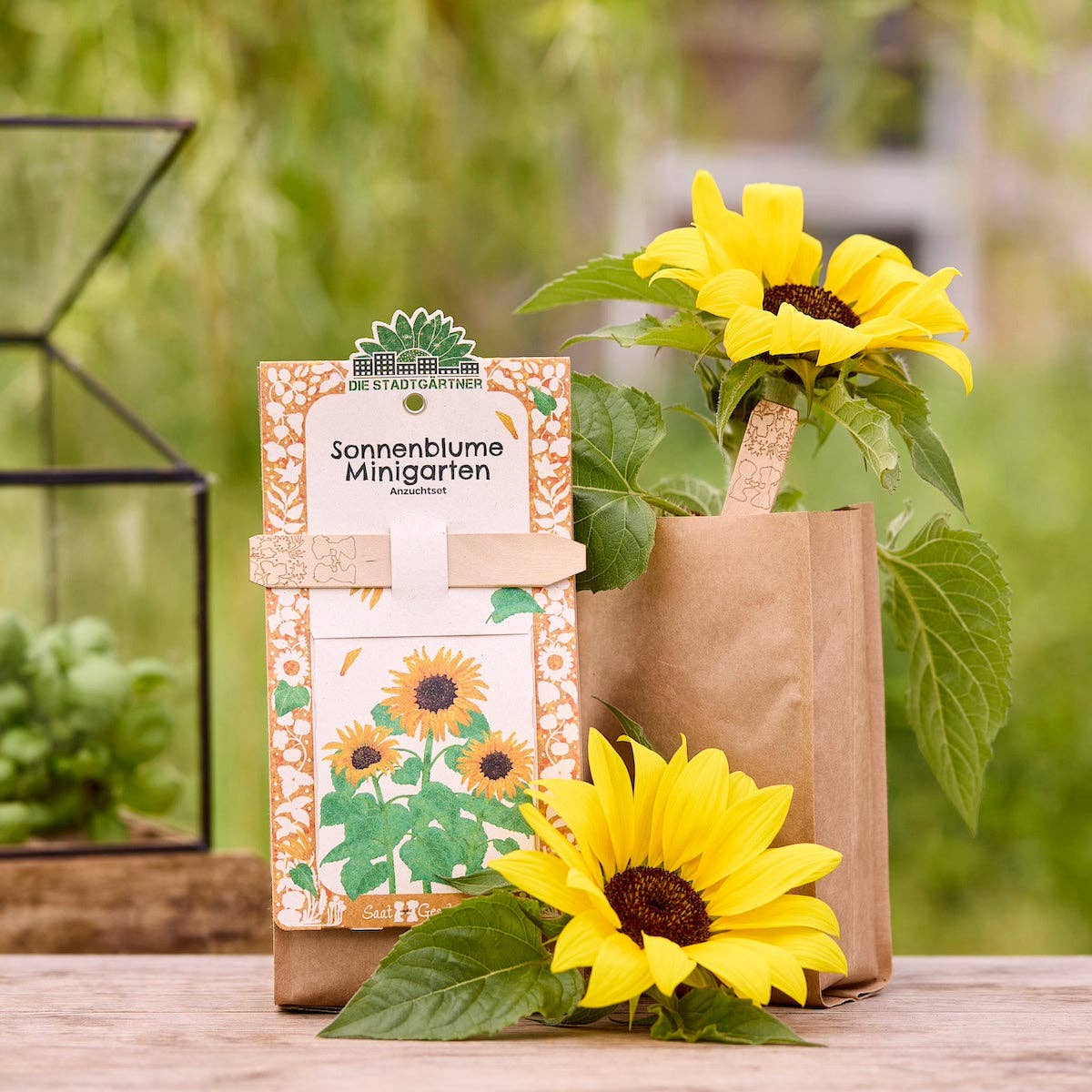 Mini hage - solsikke