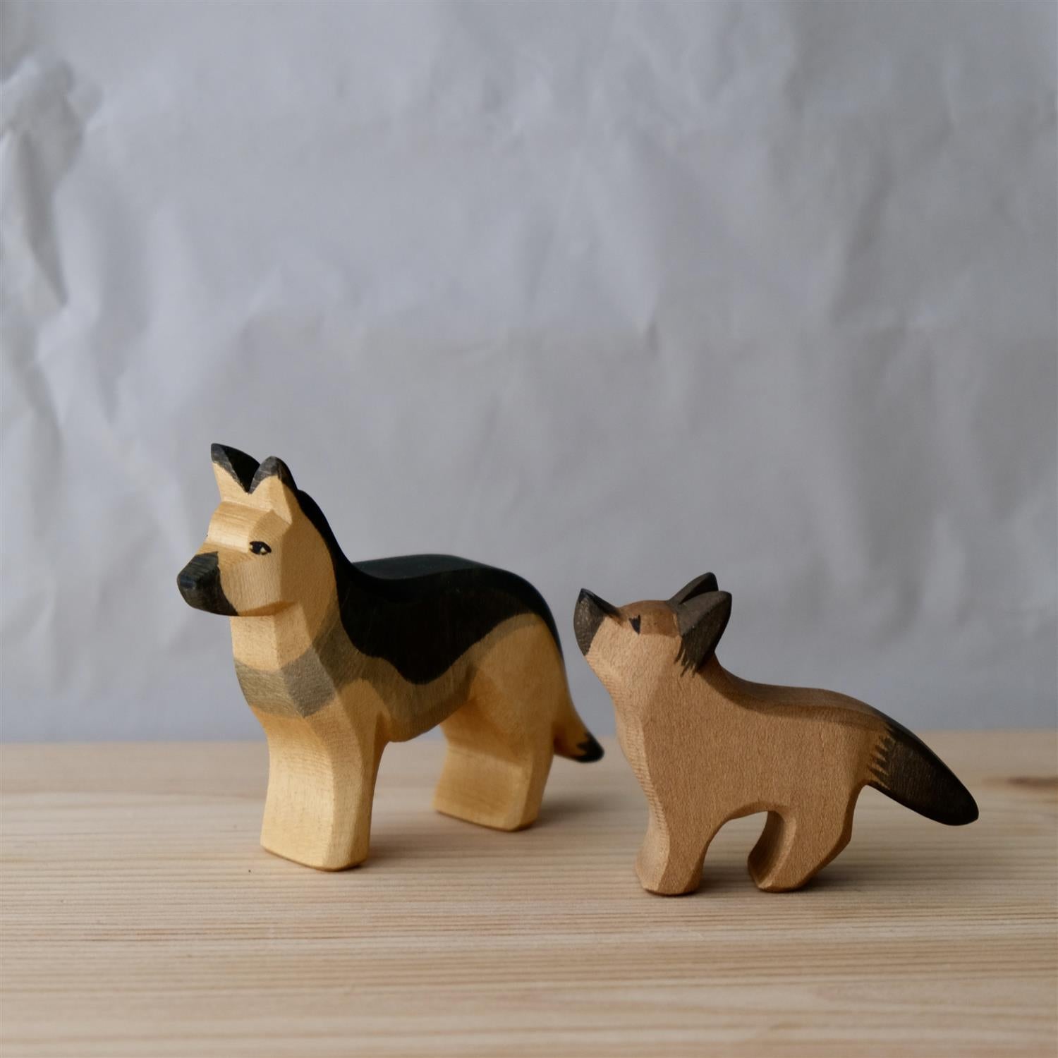 German Shepherd small head high - trefigur