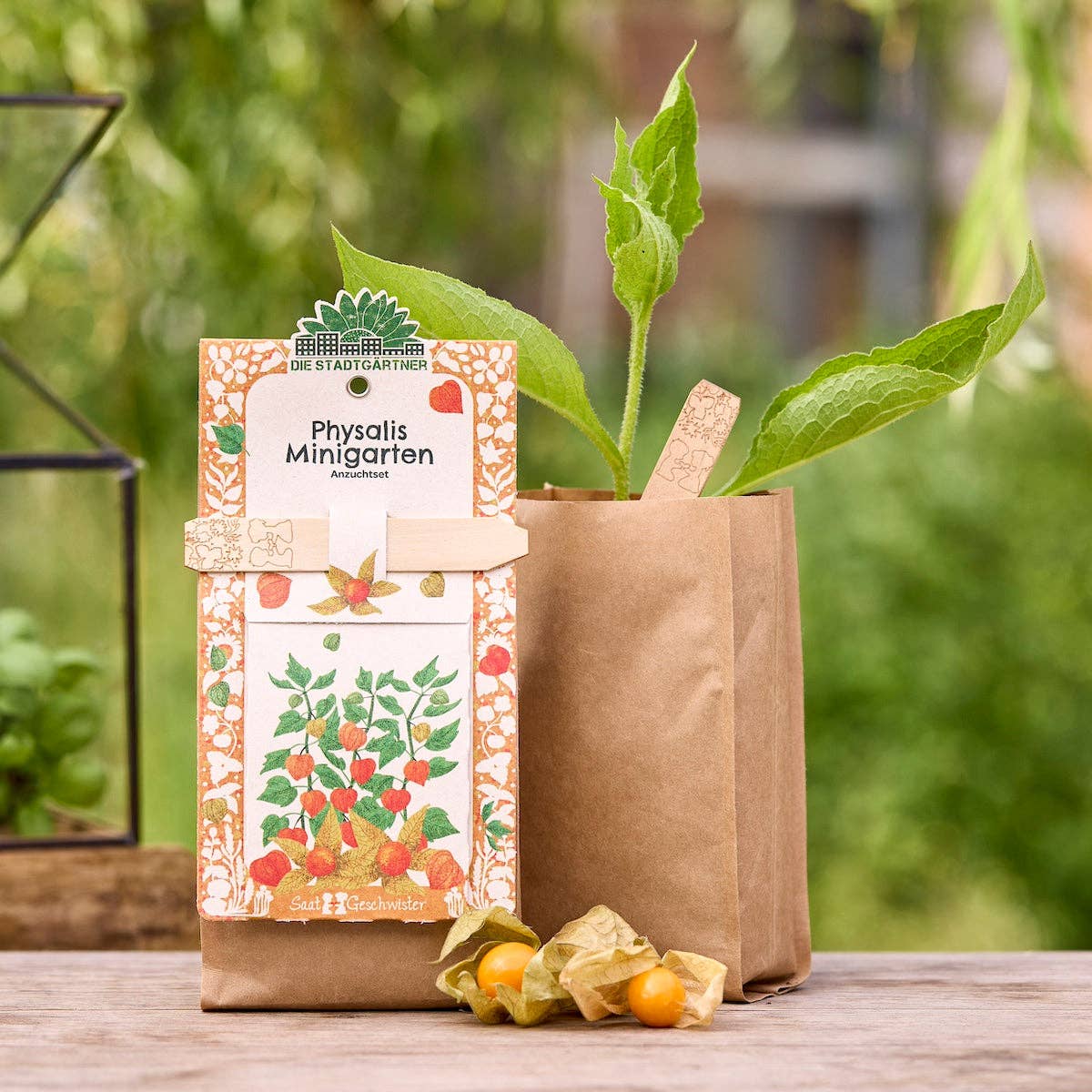 Mini hage - ananaskirsebær