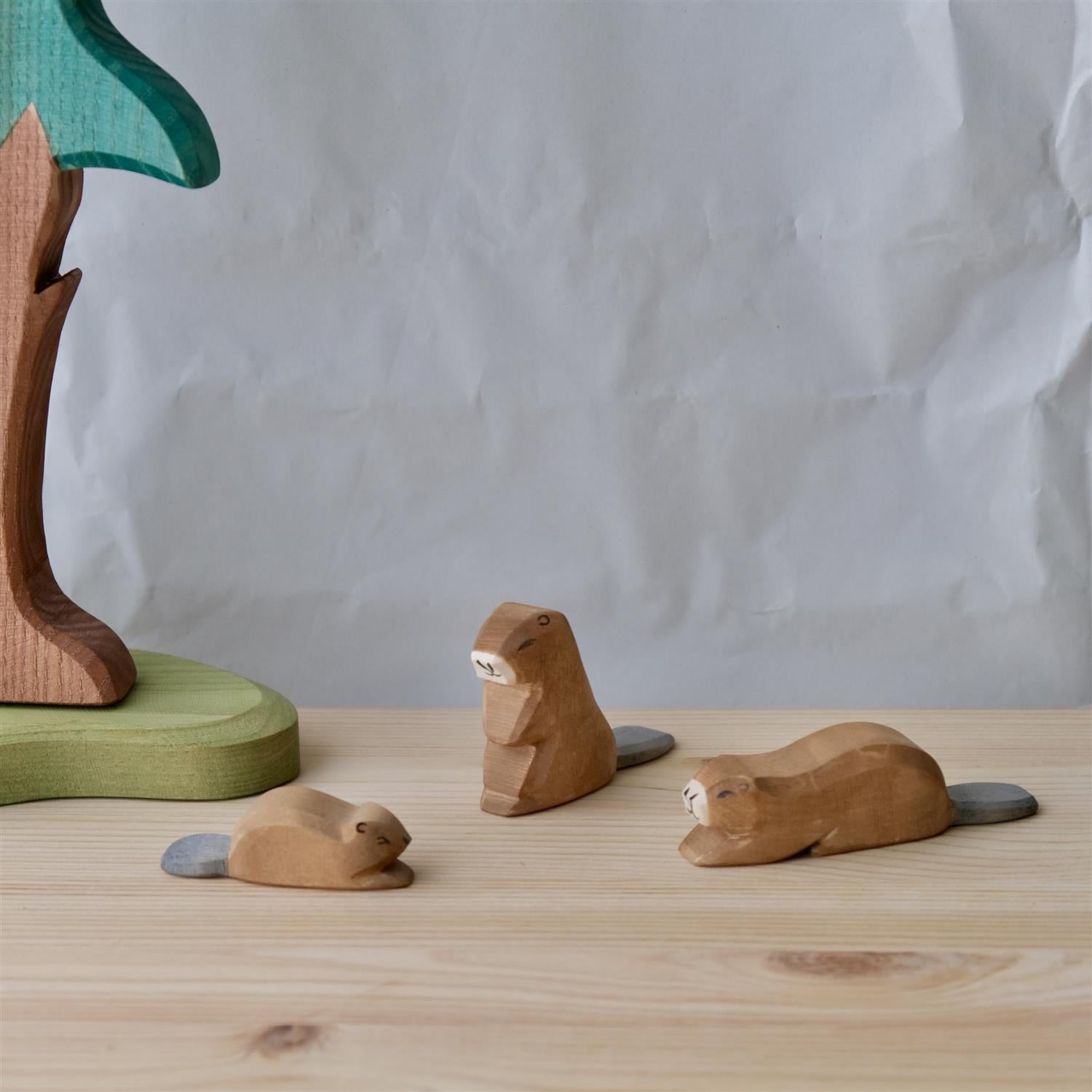 Beaver sitting - trefigur