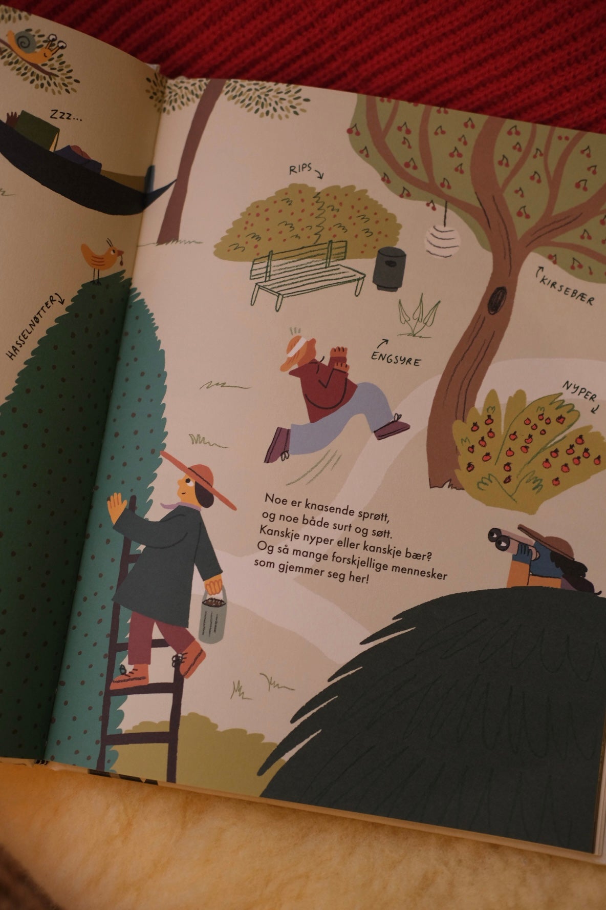 Flora + Multe og den spiselige byen