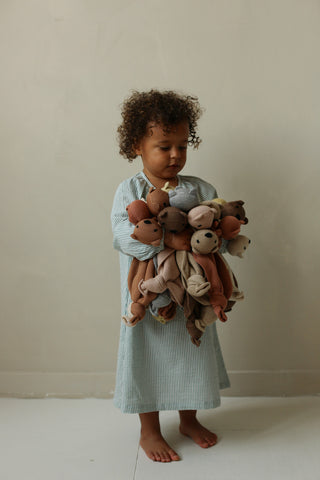 Tokki teddy