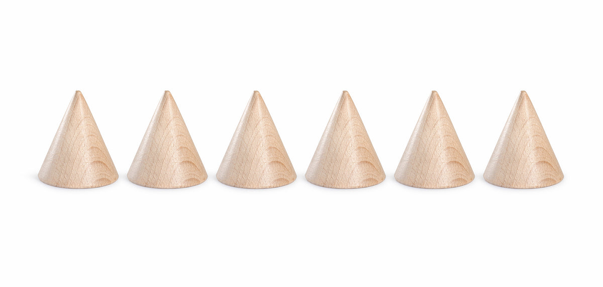 6 Cones - kjegler i natur